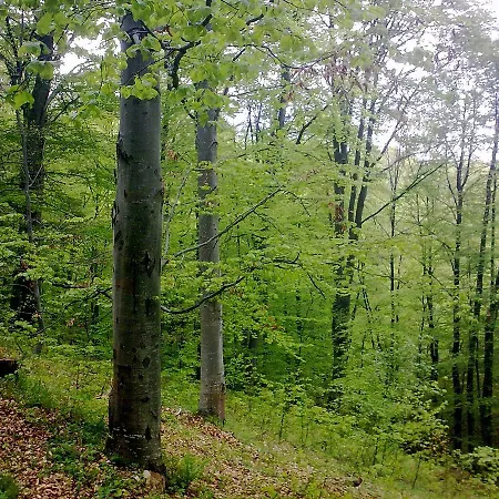 Vendégház Panagyurski Koloni